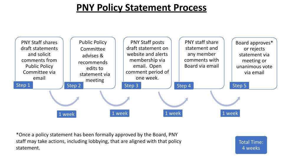 PNY Process for Policy Statements 